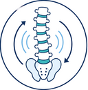 Improves mobility